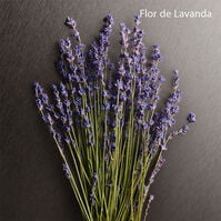 ETERNITY AROMATIC ESSENCE  100ml-218294 ETERNITY AROMATIC ESSENCE  100ml-218294 5